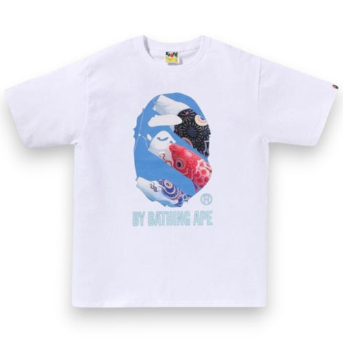 BAPE CARP PHOTO