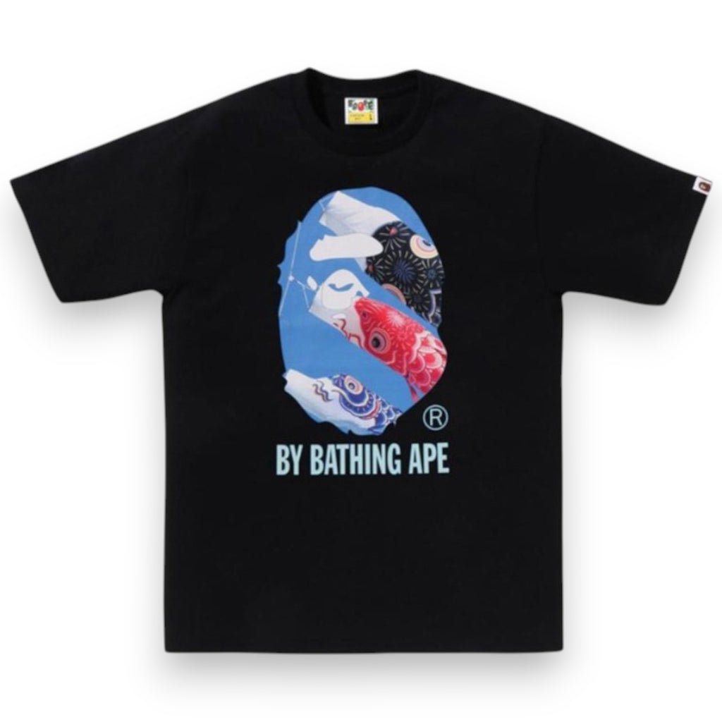 BAPE CARP PHOTO