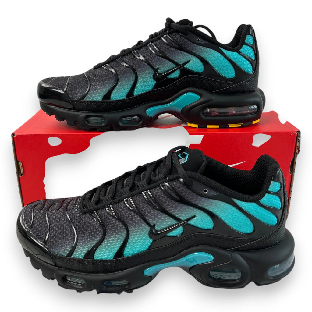 NIKE AIR MAX PLUS 'Black Dusty Cactus'