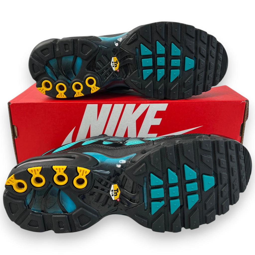 NIKE AIR MAX PLUS 'Black Dusty Cactus'