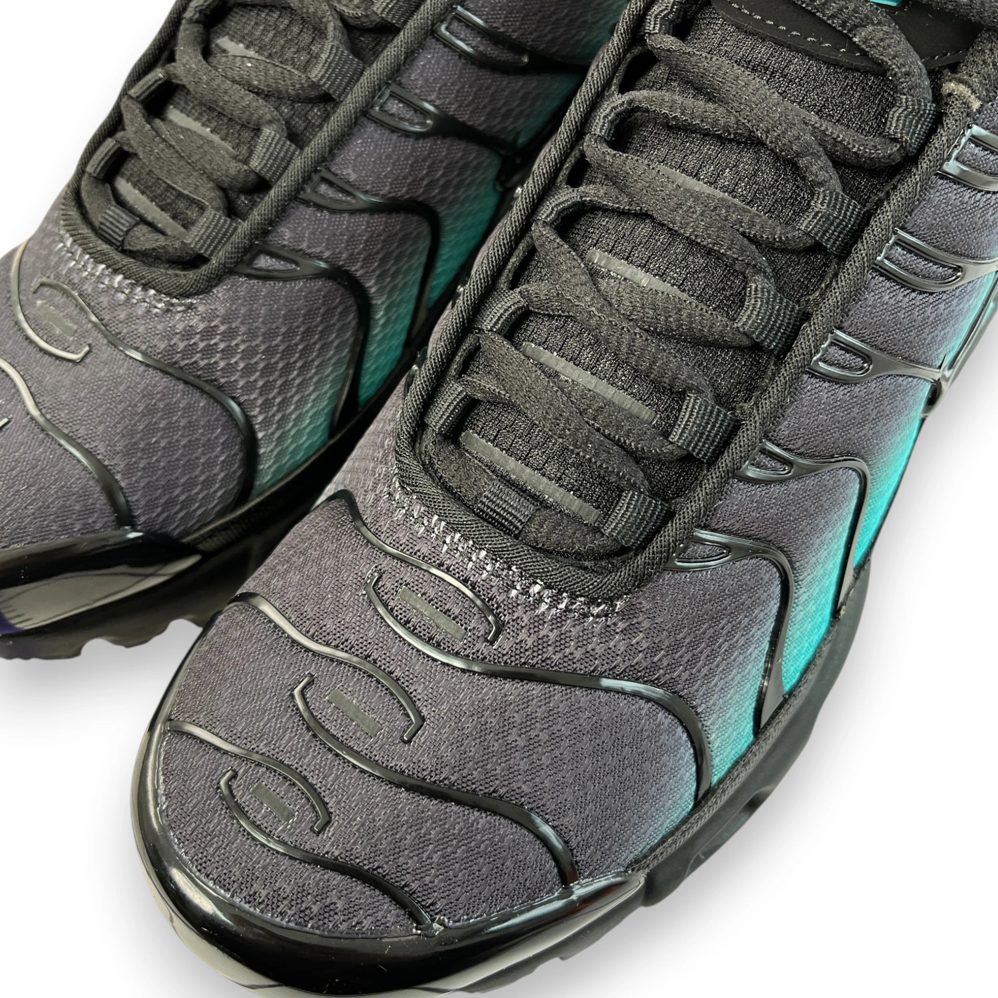 NIKE AIR MAX PLUS 'Black Dusty Cactus'