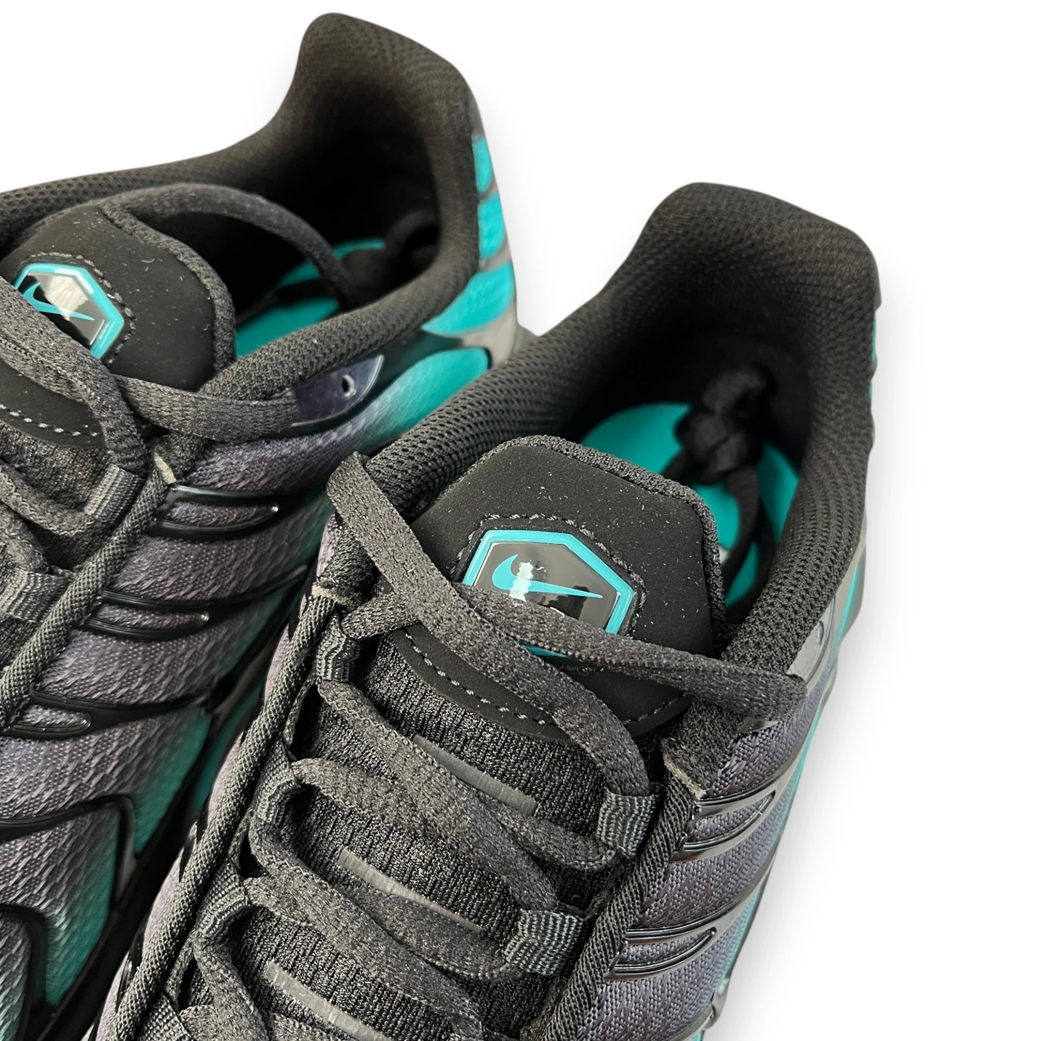 NIKE AIR MAX PLUS 'Black Dusty Cactus'