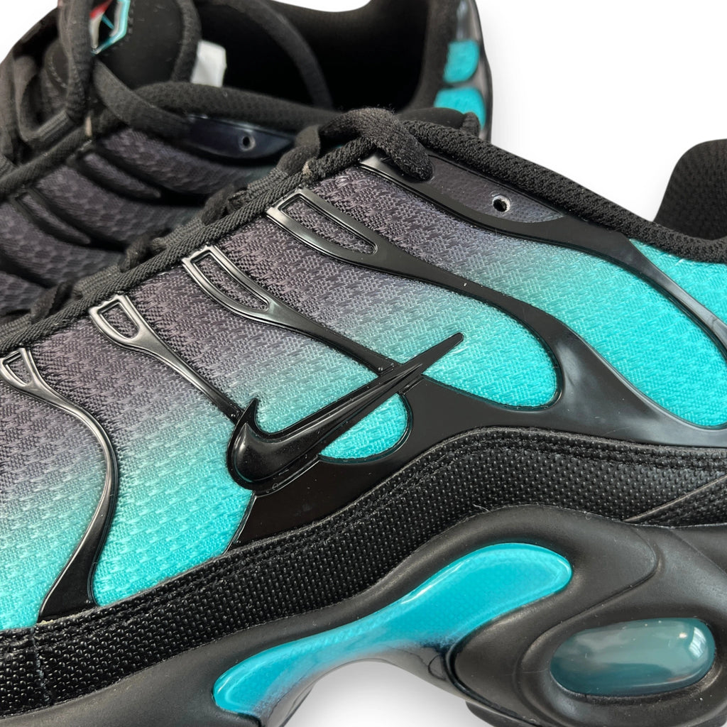 NIKE AIR MAX PLUS 'Black Dusty Cactus'